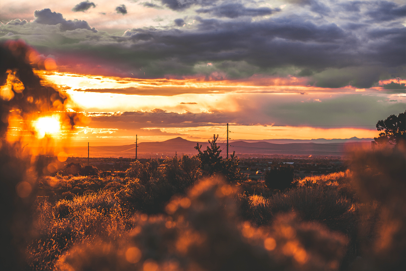 New Mexico Vote-by-Mail: Matters of the Primary and State Election Laws