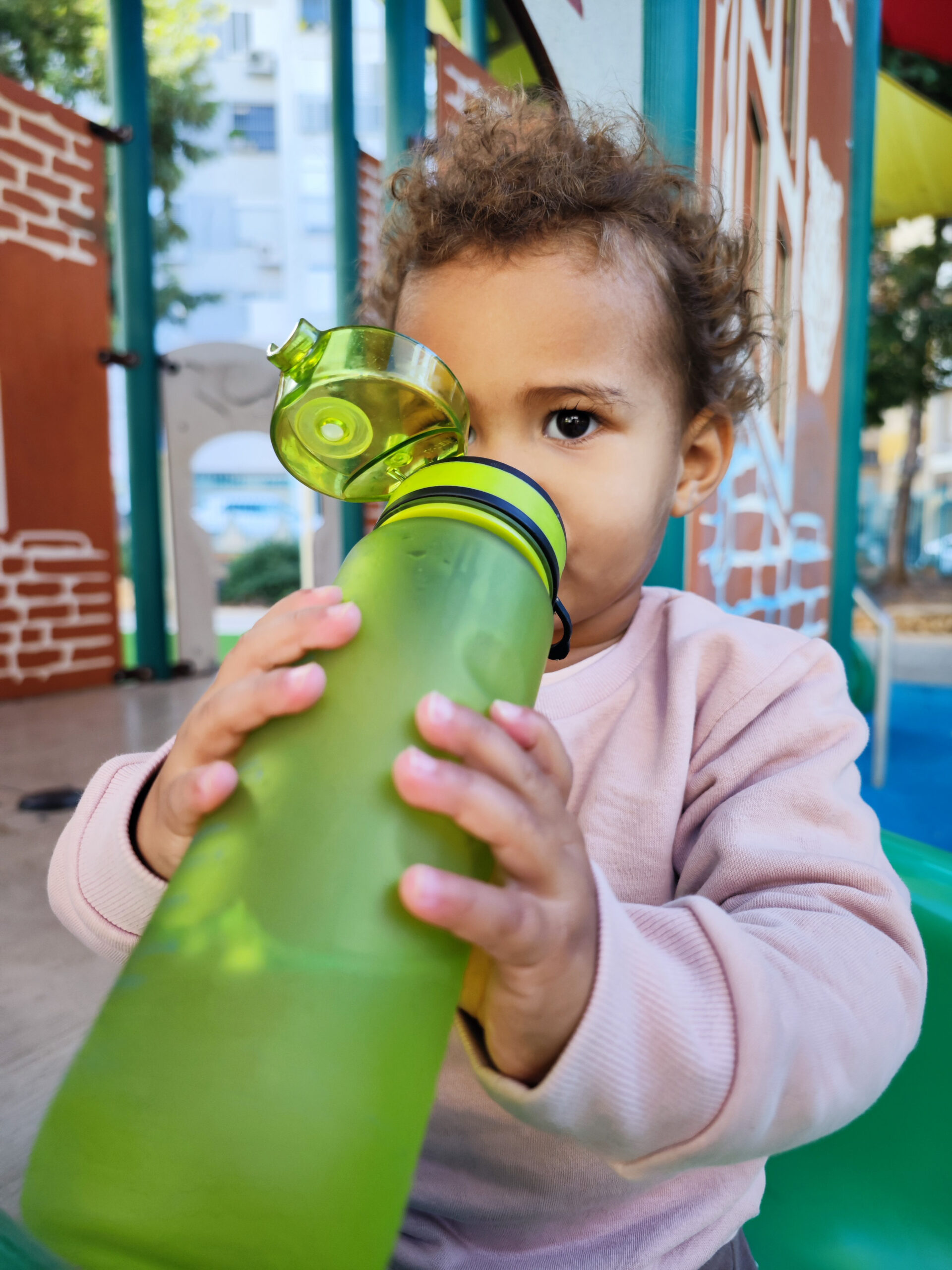 Fear at the Tap: Factors Contributing to Public Drinking Water Distrust in Latino Communities