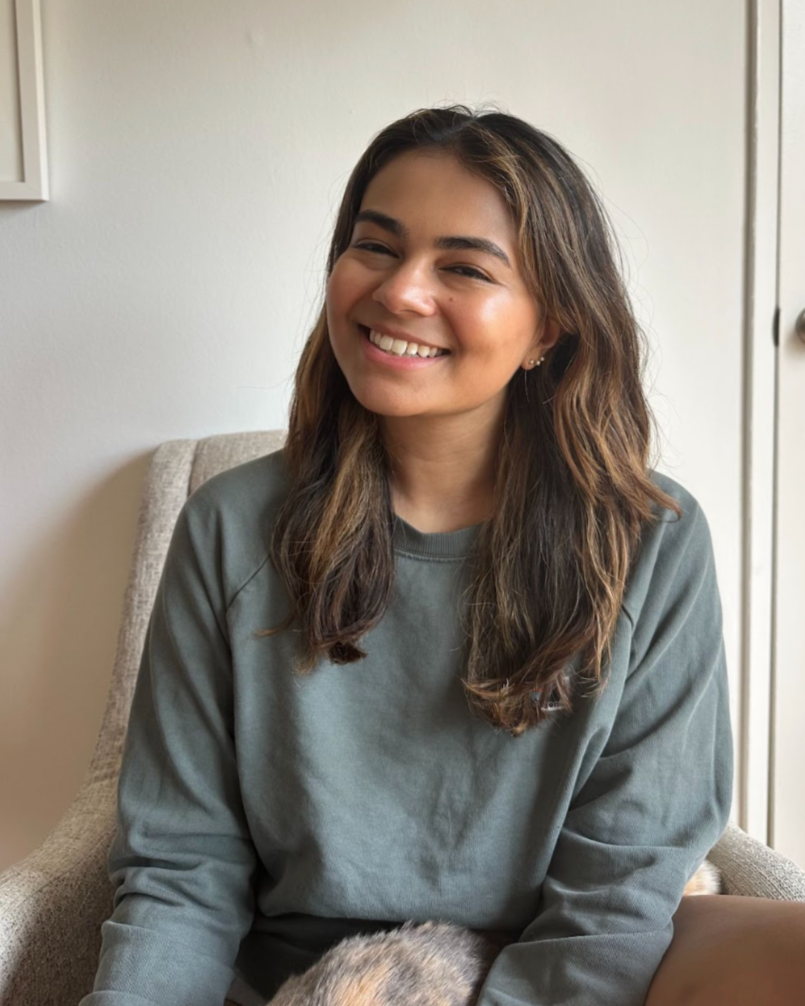 Ananya Hariharan – Voting Rights Project